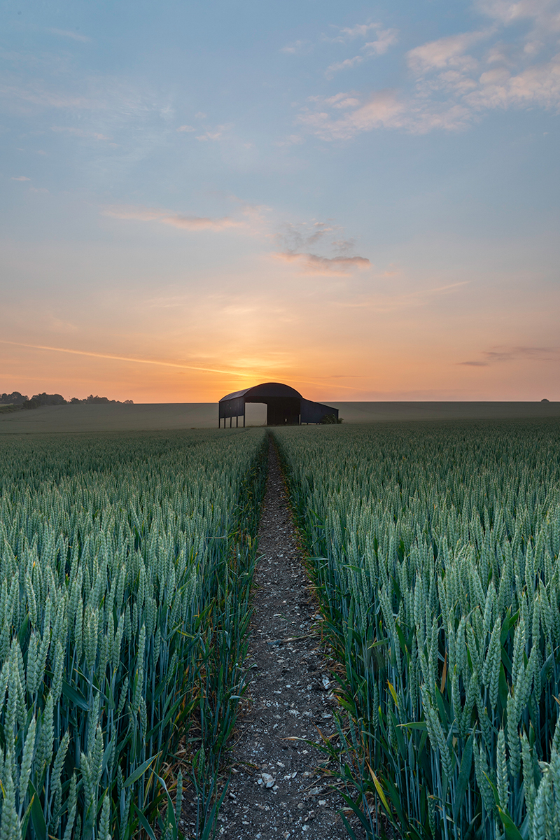 The Dutch Barn at Sixpenny Handley, Wiltshire on a summers morning. Buy a fine art print.