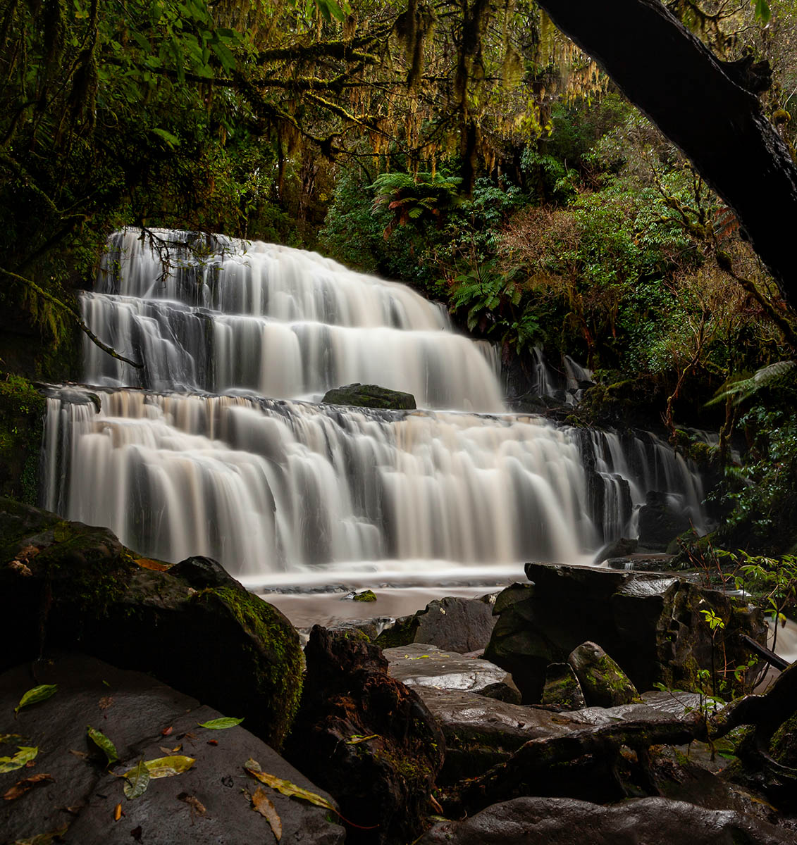 Purakaunui Falls in the Catlins Conservation Park on South Island, New Zealand