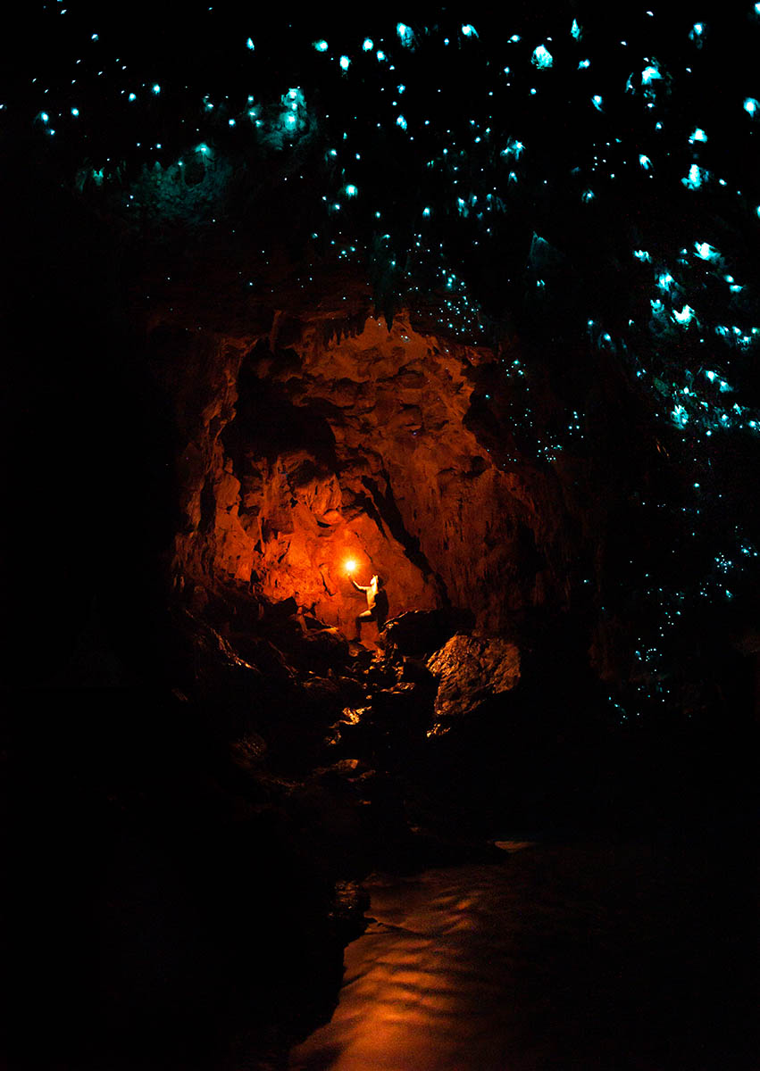 Waipu Caves, New Zealand.