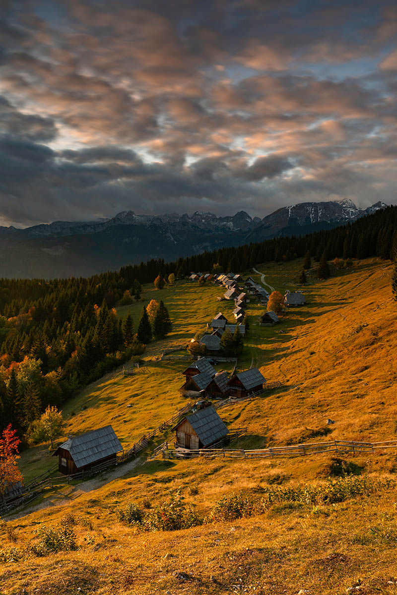 Planina Zajamniki, Slovenia. Buy a fine art print.